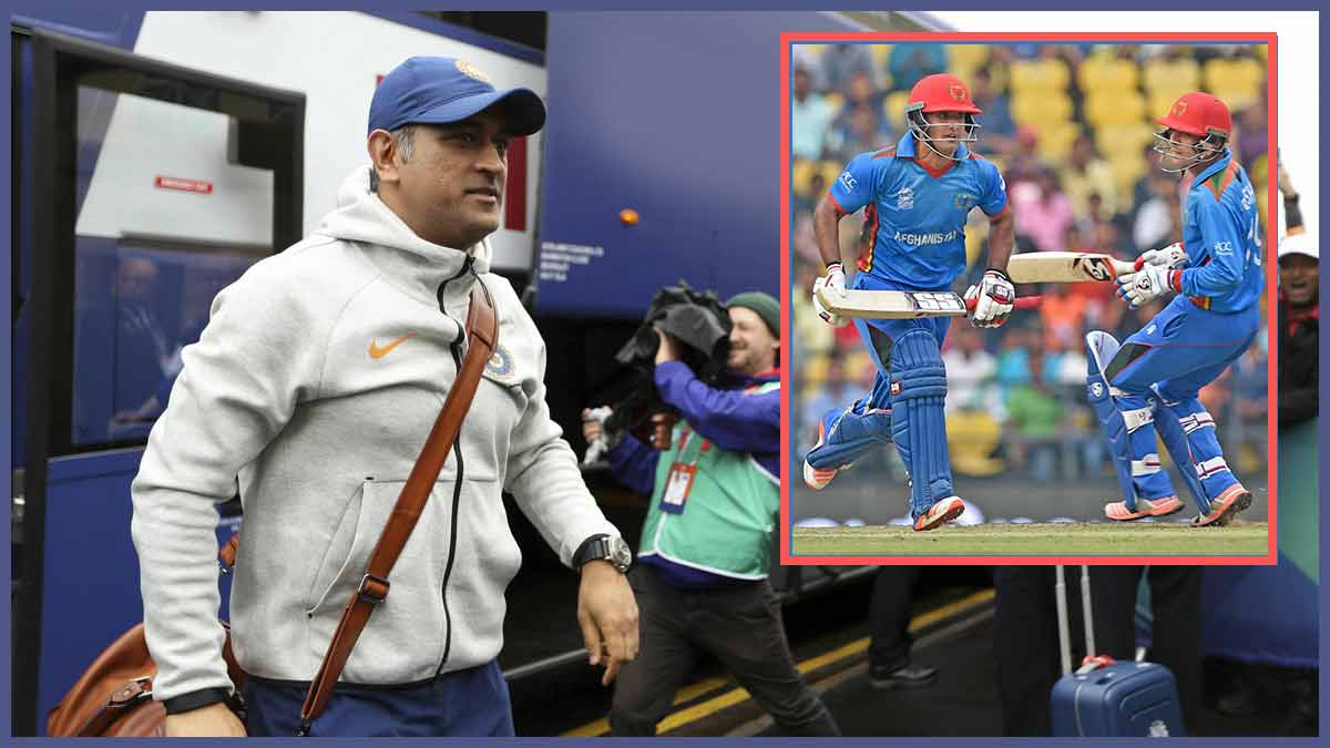MS Dhoni MS Dhoni