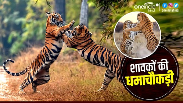 जानवरों की संख्या इतनी