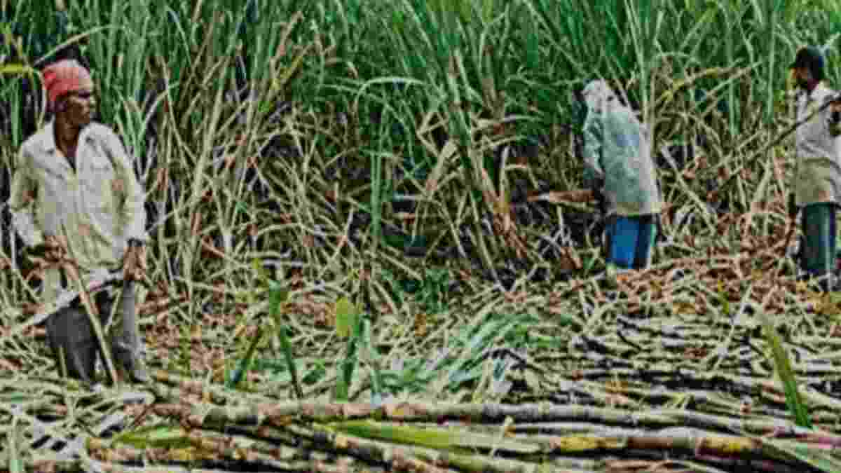 योगी आदित्यनाथ योगी आदित्यनाथ