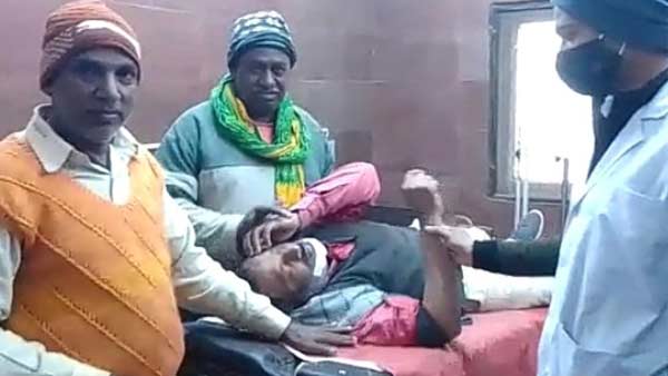 शहर में चला नीलगाय का तांडव 