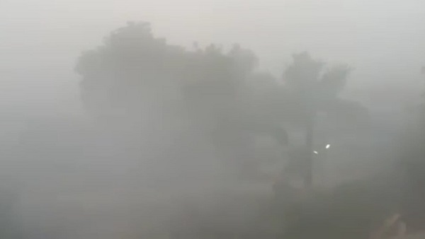 कोहरे के आगोश में मप्र का नौगांव