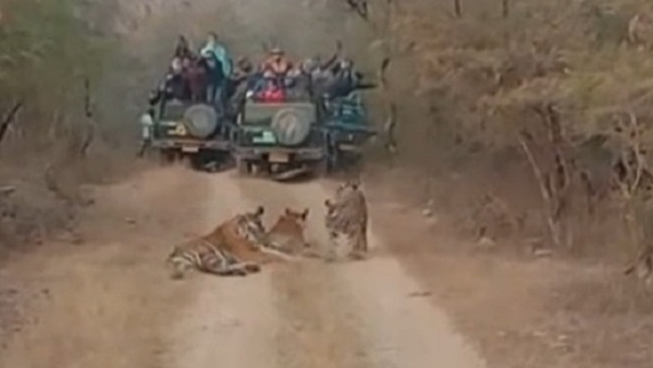 नए साल में 4 हजार से अधिक पर्यटक पहुंचे नए साल में 4 हजार से अधिक पर्यटक पहुंचे