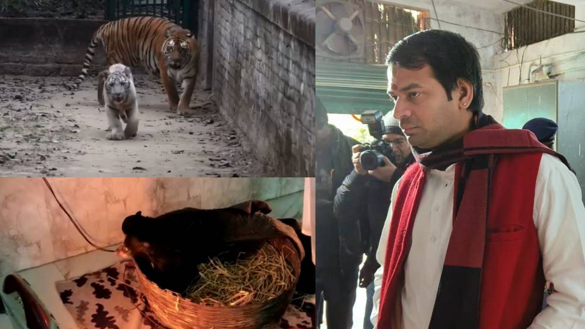 Environment Minister Tej Pratap Yadav Visit Patna Zoo Sanjay Gandhi Biological Park Environment Minister Tej Pratap Yadav Visit Patna Zoo Sanjay Gandhi Biological Park