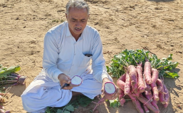गुलाबी मूली उगाने वाले किसान मदनलाल देवड़ा का इंटरव्यू गुलाबी मूली उगाने वाले किसान मदनलाल देवड़ा का इंटरव्यू