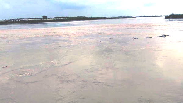 कभी गर्वभती महिला ने खोया अपना बच्चा तो कभी कोई हो गया अपाहिज कभी गर्वभती महिला ने खोया अपना बच्चा तो कभी कोई हो गया अपाहिज