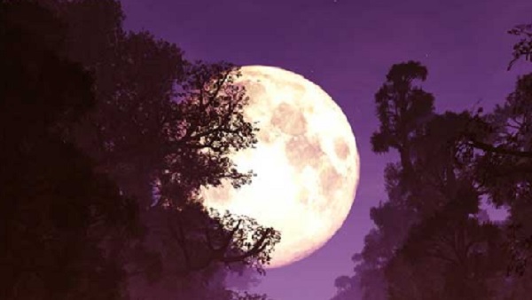 Paush Purnima 