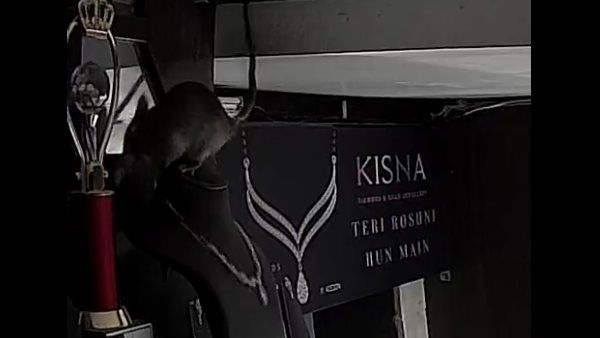 हीरे का हार चुरा कर हुआ रफूचक्‍कर 