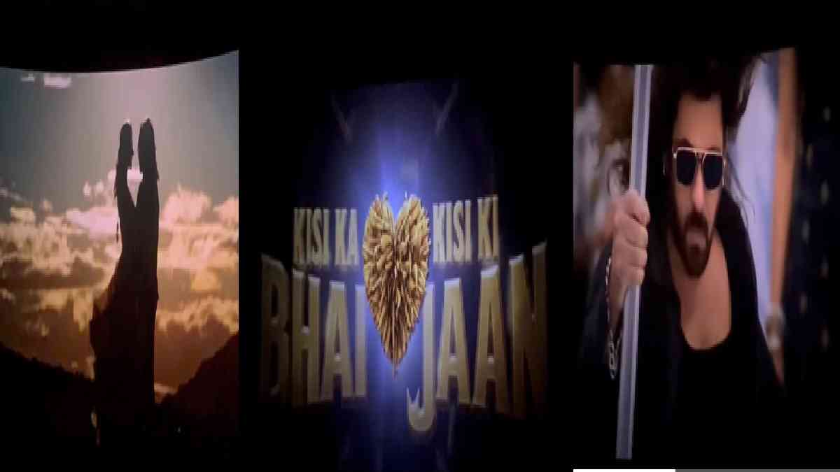 salman khan salman khan