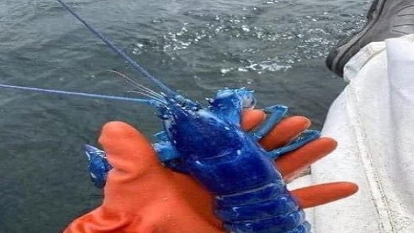 2800 से ज्यादा प्रजातियां