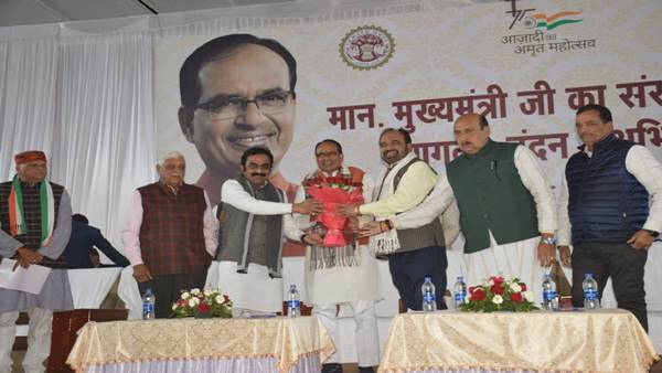 सामाजिक संगठन 35 चौराहे सजाएंगे सामाजिक संगठन 35 चौराहे सजाएंगे