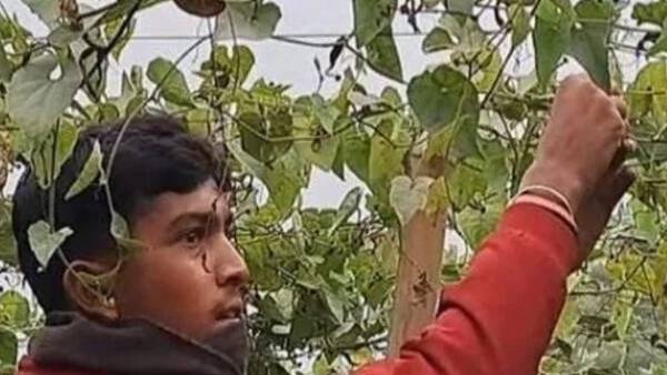 महाराष्ट्र के जलगांव में मिलेगा सोनू को अवार्ड महाराष्ट्र के जलगांव में मिलेगा सोनू को अवार्ड