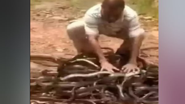 कंधे पर लाद कर लाता है सैकड़ों सांप से भरा थैला 
