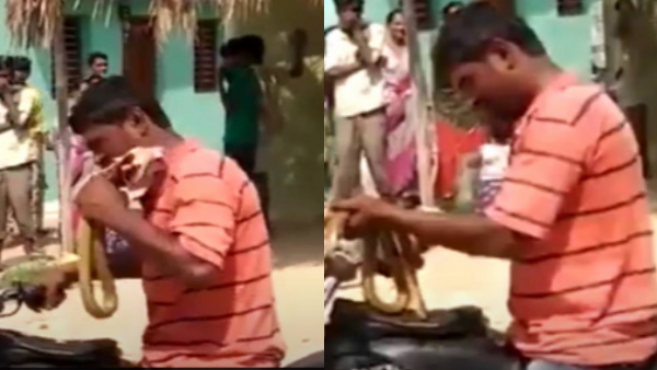 दांत से सांप को नोच-नोच कर खाने लगा शख्‍स 