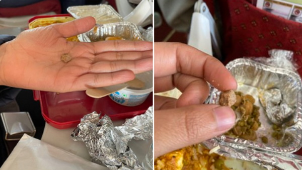 stone in air india flight food stone in air india flight food