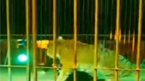 सर्कर मैनेजर ने बताया कैसी है अब ट्रेनर की हालत सर्कर मैनेजर ने बताया कैसी है अब ट्रेनर की हालत