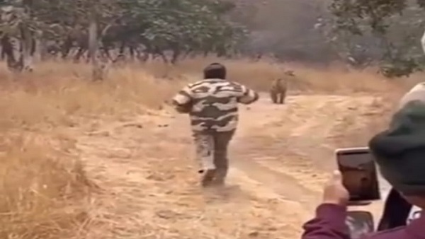 Panna Tiger Reserve