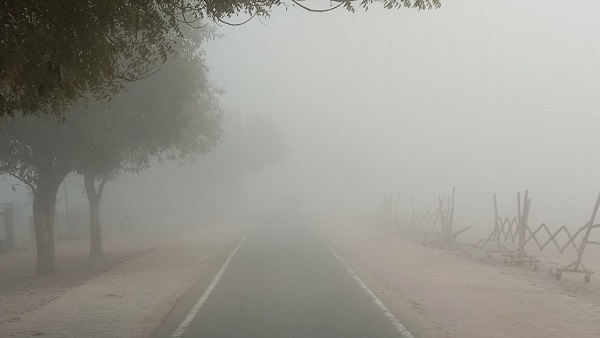 नौगांव बना कश्मीर, पारा शून्य डिग्री, पेड़—पौधों पर जम गई बर्फ