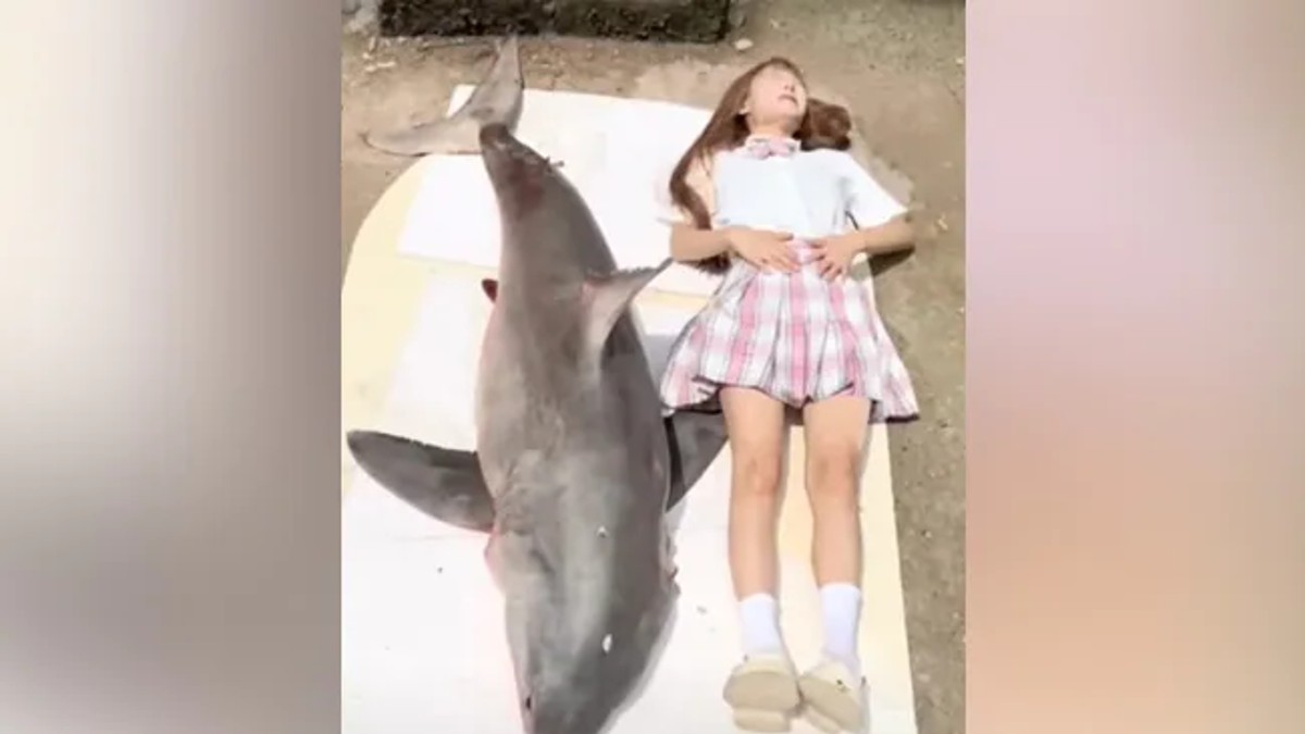 ब्लॉगर ने खरीदी व्हाइट शार्क