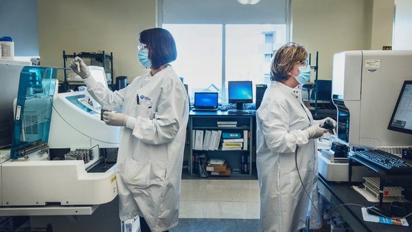 भारत-फाइजर में नहीं बनी थी बात