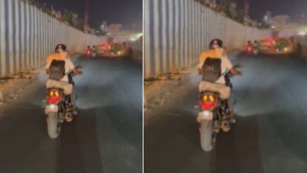 बहुत कंफर्टेबल दिखी बिल्लियां