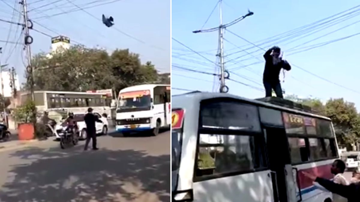 हवा में लटक रहा था कबूतर