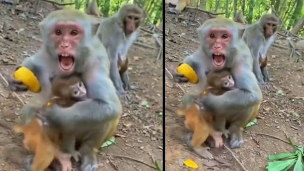 कैमरामैन ने बच्चे को खिलाया खाना 