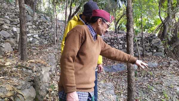  पेड़-पौधों भूस्खलन रोकने के लिए बहुत ही महत्वपूर्ण