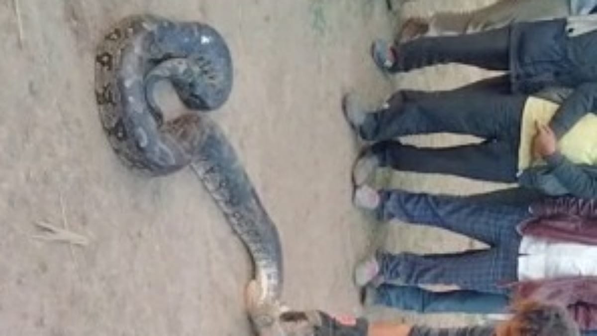 पहली बार सामने आया मामला पहली बार सामने आया मामला