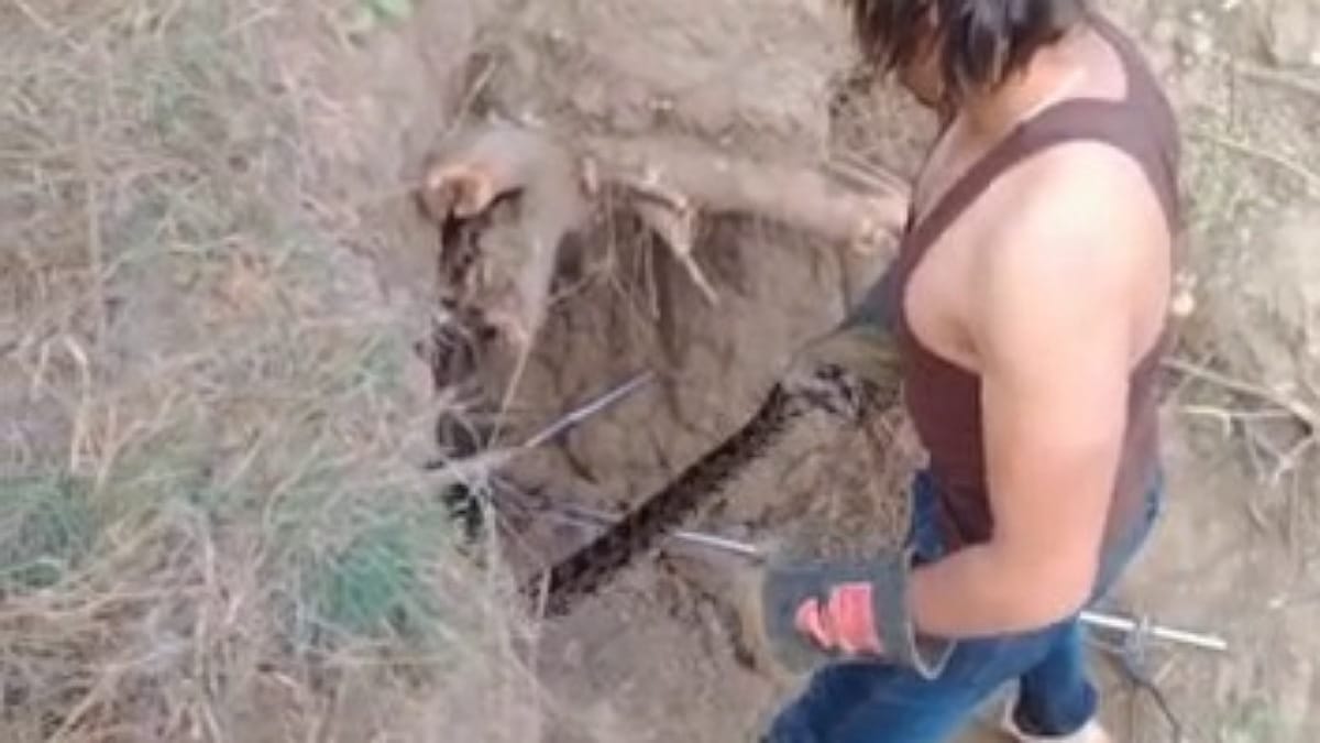 कुछ ऐसा है पूरा मामला कुछ ऐसा है पूरा मामला