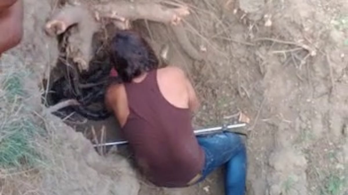 कड़ी मशक्कत के बाद हुआ रेस्क्यू कड़ी मशक्कत के बाद हुआ रेस्क्यू