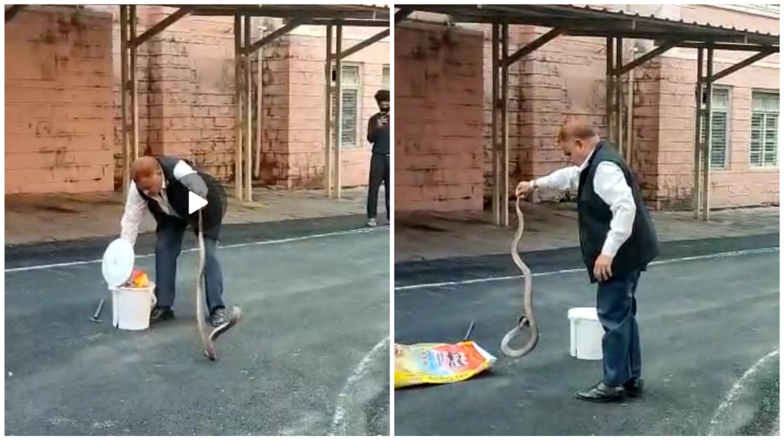 In Bhopal, mp, 7 feet long cobra snake came out in government MLA Rest House In Bhopal, mp, 7 feet long cobra snake came out in government MLA Rest House