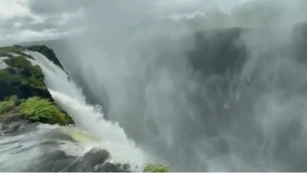 लोगों का क्या रिएक्शन?