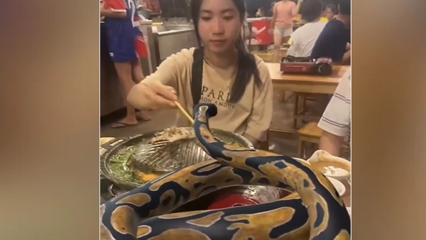 डरे यूजर ने कहा ये पागलपन है