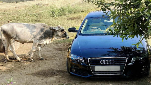  Harsh Rajput चैनल पर 30 लाख से ज्‍यादा सब्‍सक्राइबर