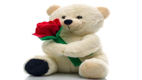 थियोडोर टेडी रूजवेल्ट करते थे भालू का शिकार 