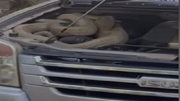 क्या बोले कार ड्राइवर