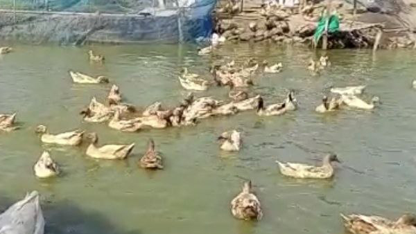 आर्थिक तंगी से जूझ रहा था परिवार