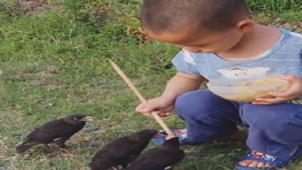 उकड़ू बैठा है लड़का