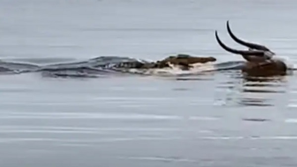 रोंगटे खड़ा कर दे रहा क्लाइमेक्स