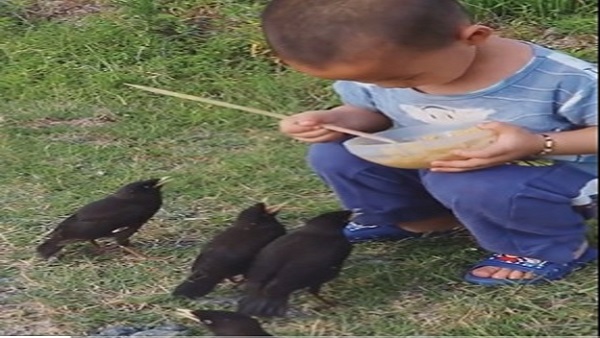 डेढ़ मिलियन से अधिक बार देखा गया वीडियो