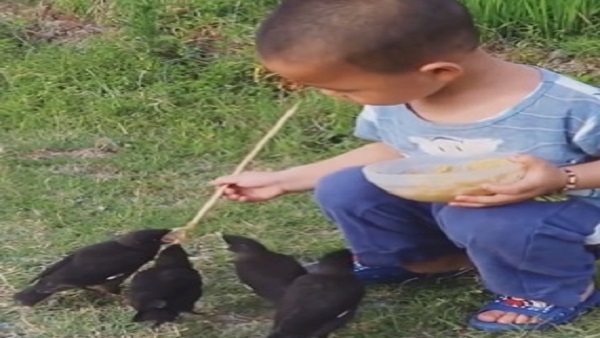 यूजर्स कर रहे जबरदस्त टिप्पणी