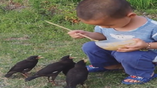 मोची का भी वीडियो हुआ था वायरल