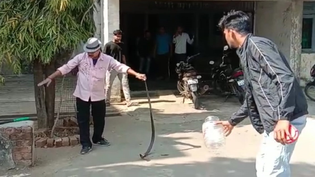 इंजीनियरिंग कॉलेज के हॉस्टल में घुसा कोबरा, रूम छोड़कर भागे इंजीनियरिंग कॉलेज के हॉस्टल में घुसा कोबरा, रूम छोड़कर भागे