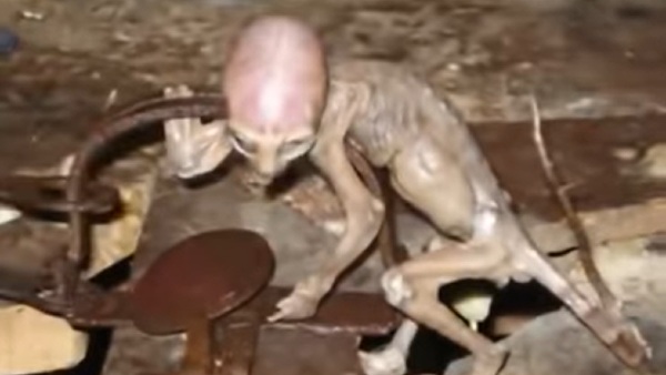 कहां की है घटना?