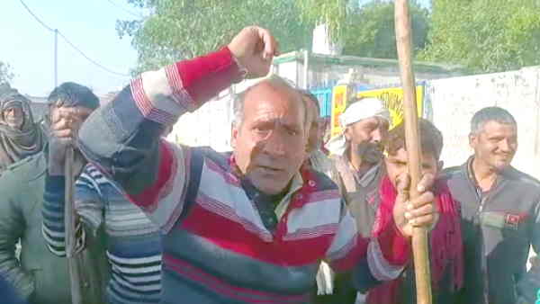 villagers troubled by stray cattle did a unique movement locked cows and bulls in school Bulandshahr