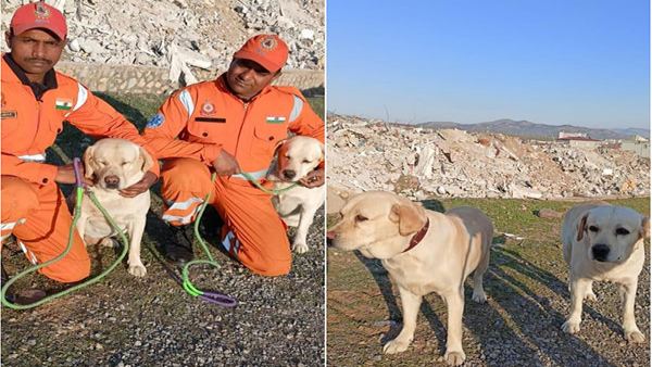 NDRF Romeo Julie