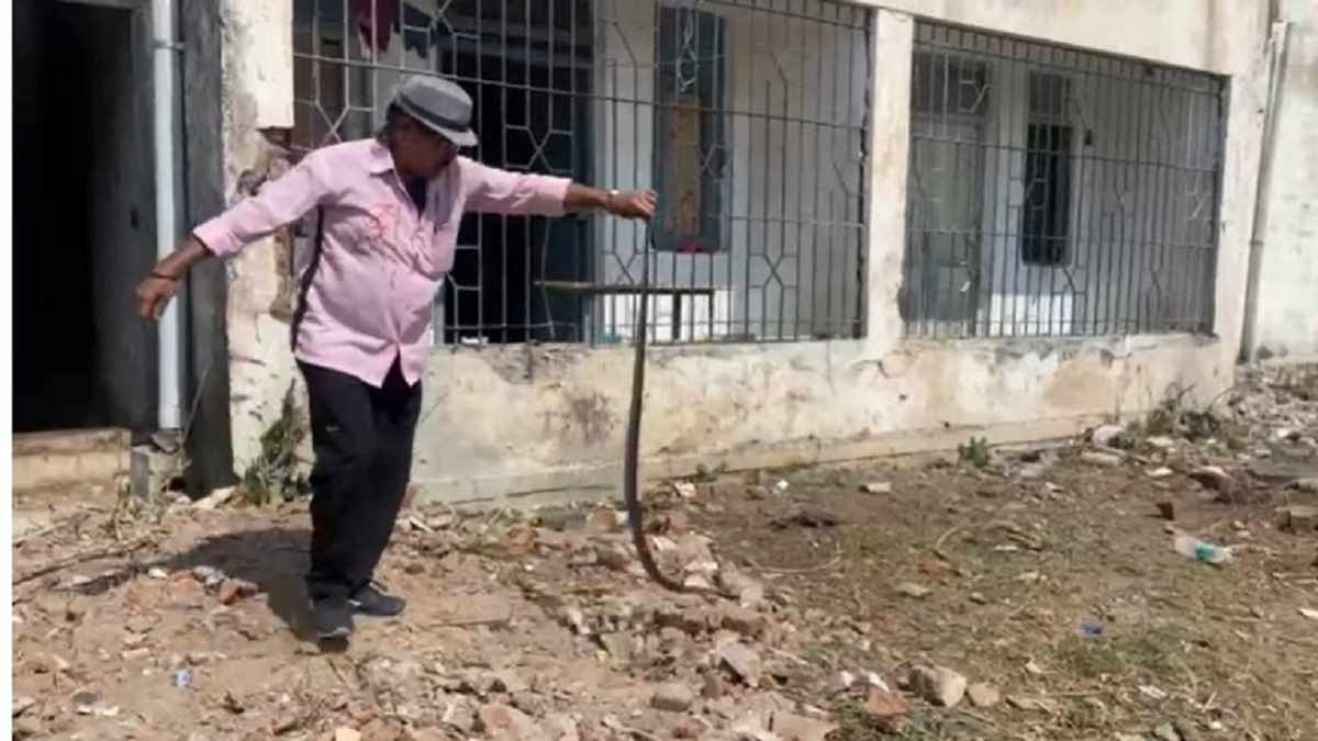 इंजीनियरिंग कॉलेज के हॉस्टल में घुसा कोबरा, रूम छोड़कर भागे इंजीनियरिंग कॉलेज के हॉस्टल में घुसा कोबरा, रूम छोड़कर भागे