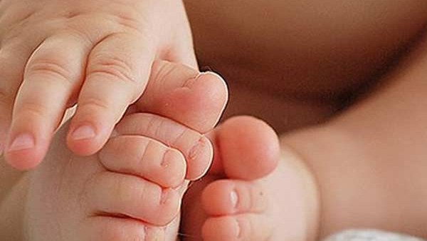 IVF से LGBTQ+ बने थे पैरेंट IVF से LGBTQ+ बने थे पैरेंट