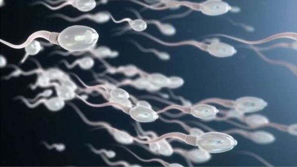 स्पर्म डोनर की पहचान उजागर नहीं स्पर्म डोनर की पहचान उजागर नहीं