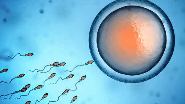 डोनर ने जारी किया था एड डोनर ने जारी किया था एड